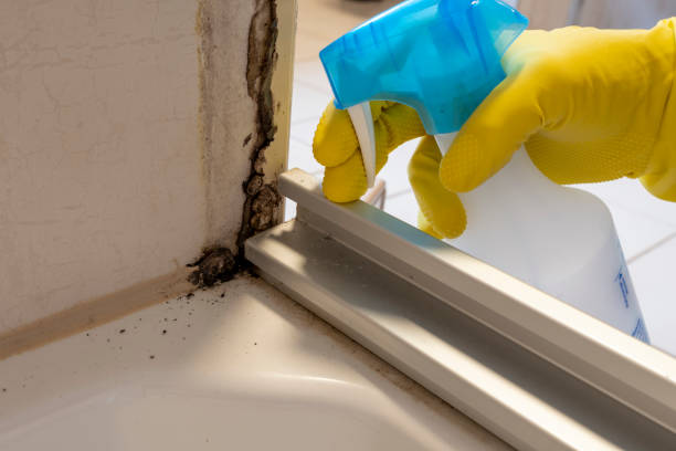 Best Crawl Space Mold Removal  in Carney, MD
