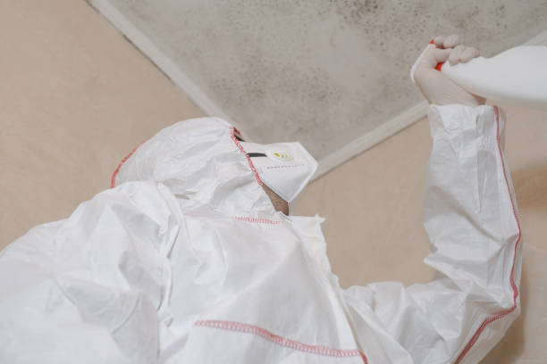 Best Residential Mold Removal  in Carney, MD