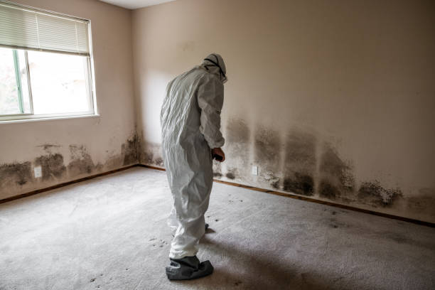 Best Residential Mold Removal  in Carney, MD